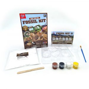 Fossil Kit Set
